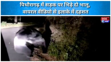 Two bears clash on the road in Pithoragarh, viral video creates panic in the area