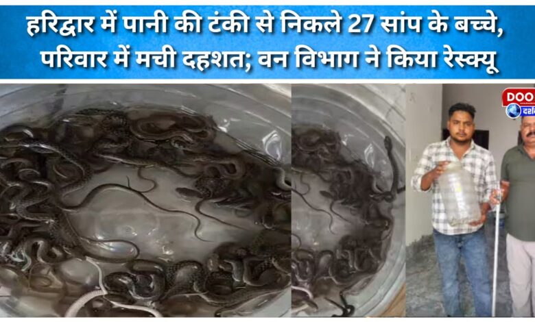 27 baby snakes emerge from a water tank in Haridwar, causing panic in the family; Forest Department rescues them
