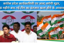 Approval for the Congress state executive committee is expected soon; the wait for the new team, ongoing for eight months, is likely to end.
