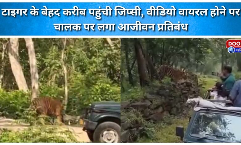 Gypsy gets extremely close to a tiger; driver banned for life after video goes viral.
