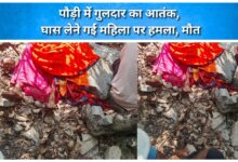 Leopard terror in Pauri; woman attacked while gathering grass, dies.