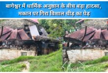 Major accident during religious ritual in Bageshwar; massive pine tree falls on house.