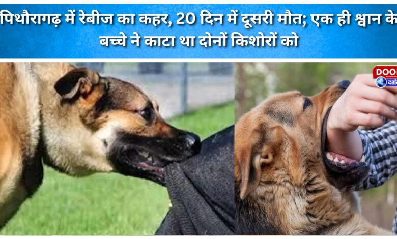 Rabies outbreak in Pithoragarh; second death in 20 days; both teenagers were bitten by the same dog.