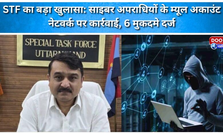 STF makes a major disclosure Action taken against cyber criminals' mule account network, 6 cases filed
