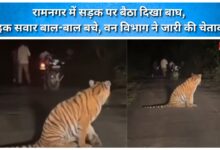 Tiger spotted sitting on the road in Ramnagar; motorcyclists narrowly escape; Forest Department issues warning.