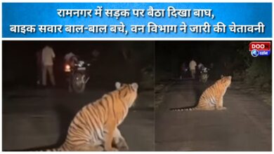 Tiger spotted sitting on the road in Ramnagar; motorcyclists narrowly escape; Forest Department issues warning.