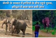 Youths venture among elephants for a selfie; narrowly escape death in Haridwar.
