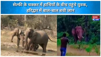 Youths venture among elephants for a selfie; narrowly escape death in Haridwar.