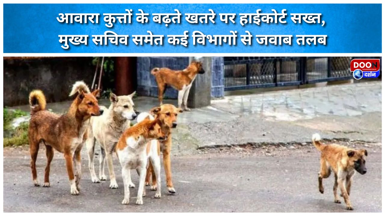 High Court takes a tough stance on the growing menace of stray dogs; seeks responses from the Chief Secretary and several departments.