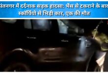 Tragic road accident in Pantnagar Car collides with Scorpio after hitting a buffalo; one dead.
