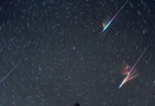 A spectacular sight will be visible in the sky on the night of August 12–13; the Perseid meteor shower will be at its peak.