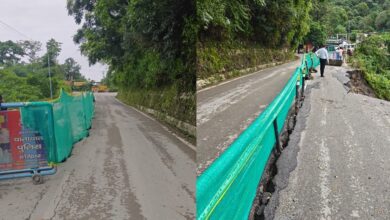 Ban on movement of heavy vehicles at Paniwala Bend