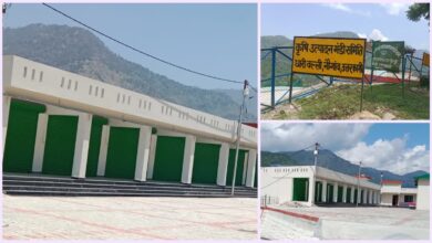 ₹10-crore Naugaon Mandi reduced to a showpiece; farmers of Rawain Valley still dependent on middlemen.