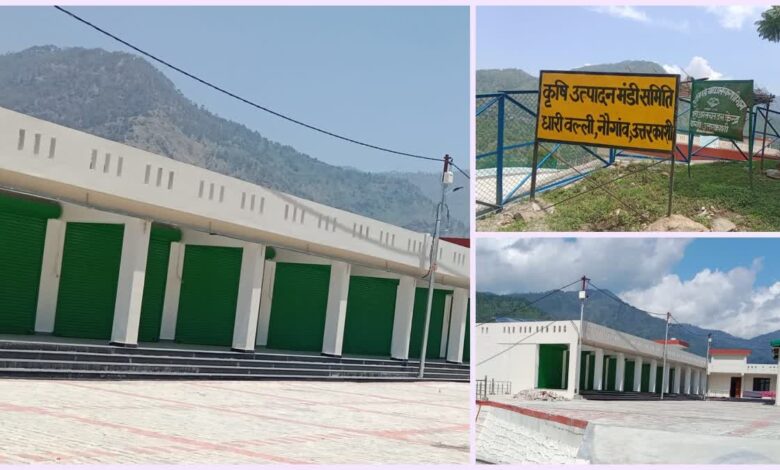 ₹10-crore Naugaon Mandi reduced to a showpiece; farmers of Rawain Valley still dependent on middlemen.