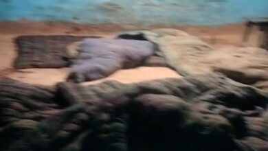 Haldwani: Questions raised over the condition of the body following a wife's murder; police also accused of negligence.