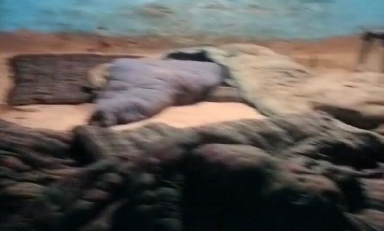 Haldwani: Questions raised over the condition of the body following a wife's murder; police also accused of negligence.