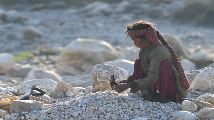 World Photography Day 2026: One picture, a story of a thousand words.