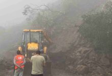More than 22% of Srinagar's area is landslide-prone.