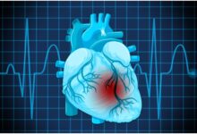Vitamin D-3 more effective than D-2 for muscles and heart: ICMR-NIN study