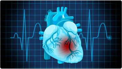 Vitamin D-3 more effective than D-2 for muscles and heart: ICMR-NIN study