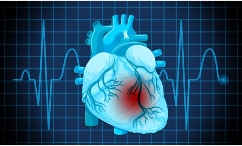 Vitamin D-3 more effective than D-2 for muscles and heart: ICMR-NIN study