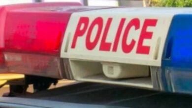 Dispute among neighbors over excessive phone conversations; woman alleges assault.