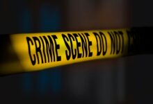 Nephew attacks uncle with an axe following an altercation; uncle dies on the spot.
