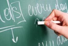 Separate cadres to be created for SCERT and DIET; proposal to be placed before the Cabinet.
