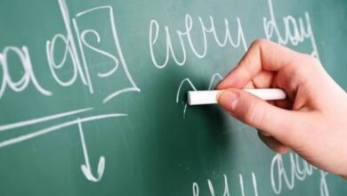 Separate cadres to be created for SCERT and DIET; proposal to be placed before the Cabinet.