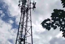 Youth climbs mobile tower in Rishikesh Mandi; alleges harassment by officials.
