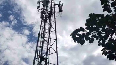 Youth climbs mobile tower in Rishikesh Mandi; alleges harassment by officials.