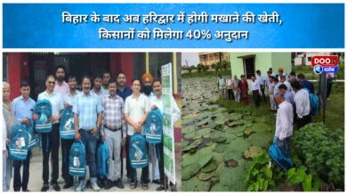 After Bihar, makhana cultivation will now take place in Haridwar; farmers will receive a 40% subsidy.