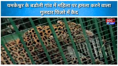 Leopard that attacked a woman in Yamkeshwar's Badoli village caged.